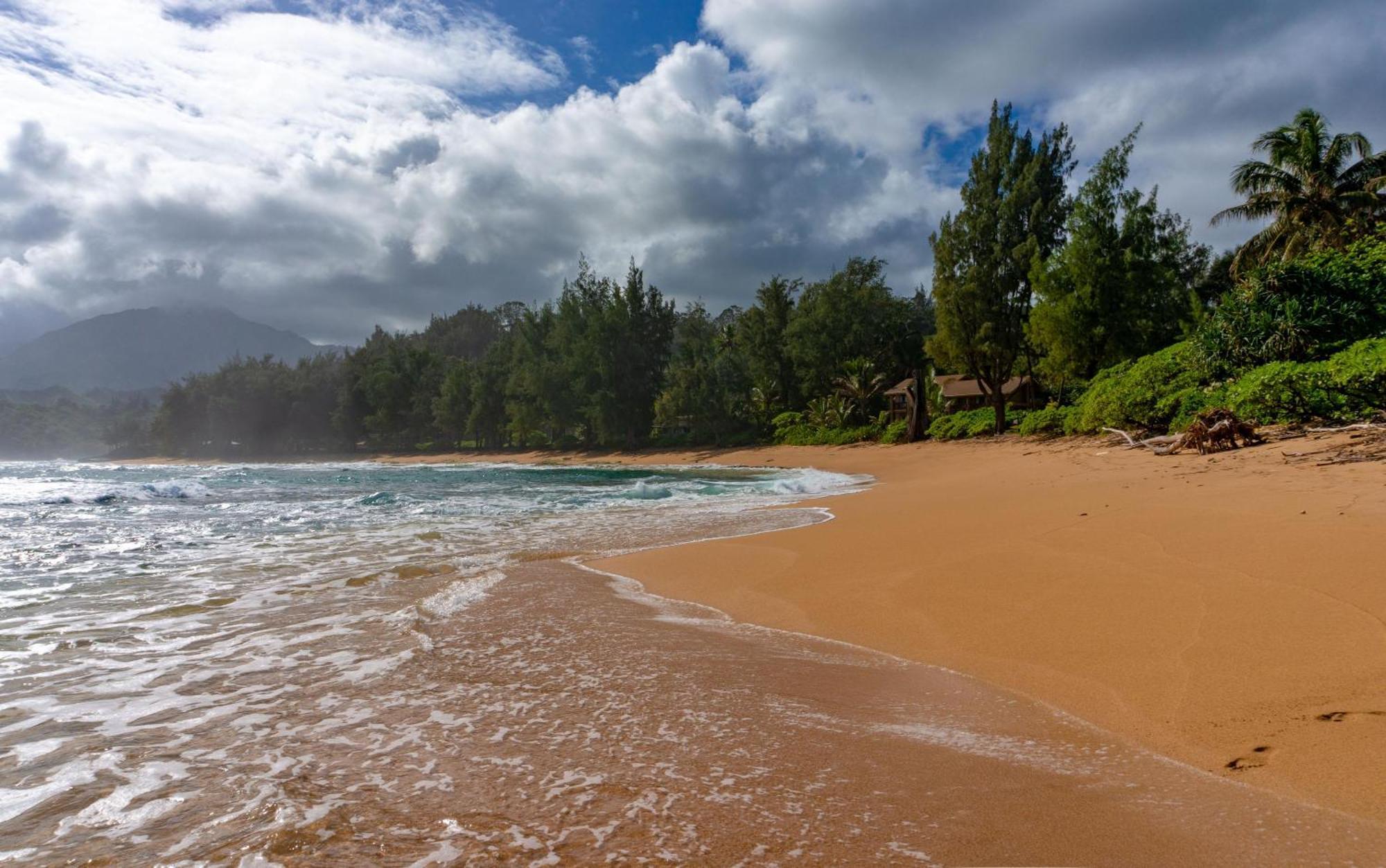 Colony E3 * Hanalei