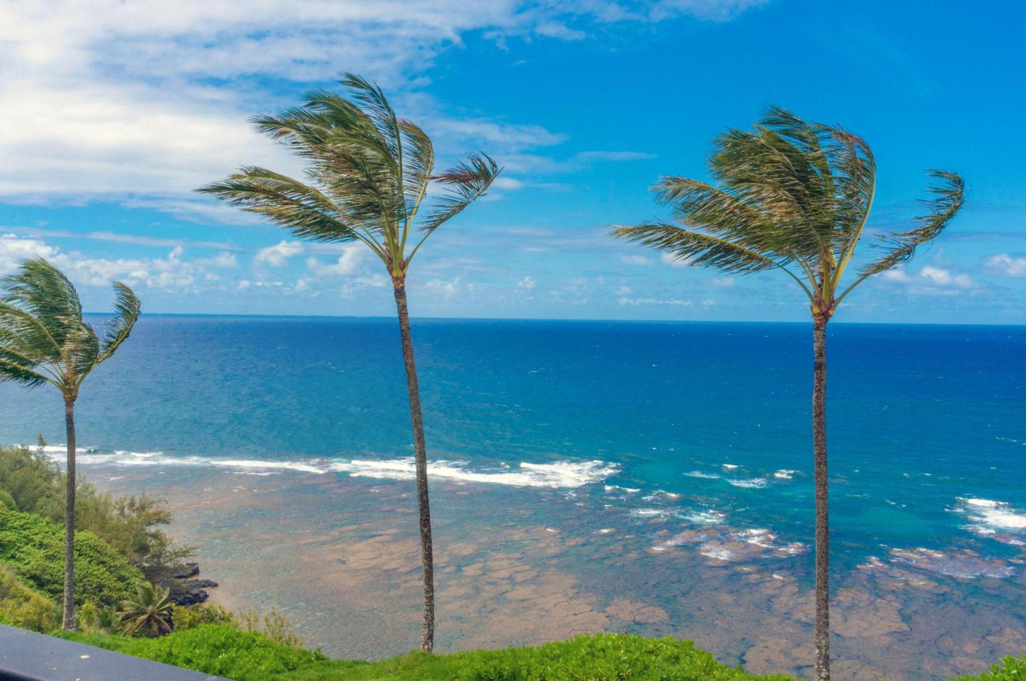 Sealodge C7 Apartment Princeville