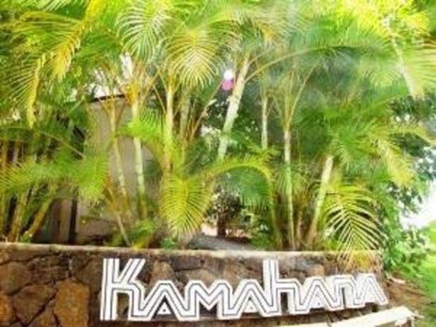 Apartment Kamahana 24 *