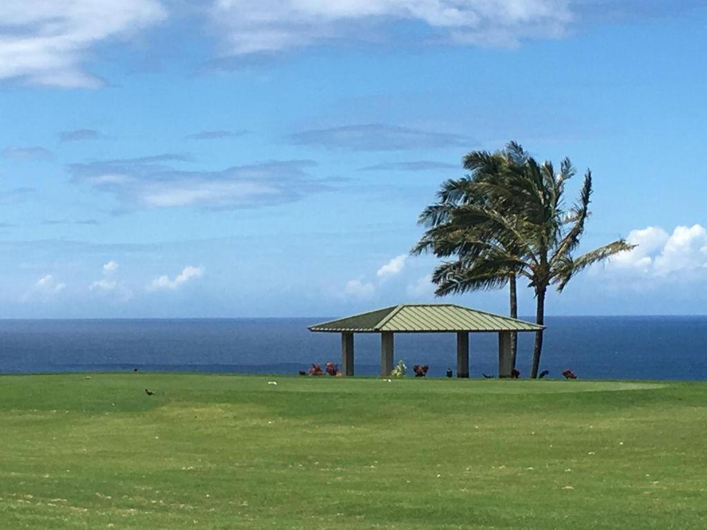 Kamahana 24
