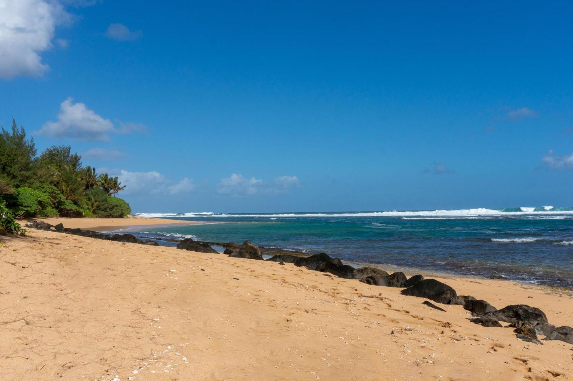 Colony H4 Hanalei