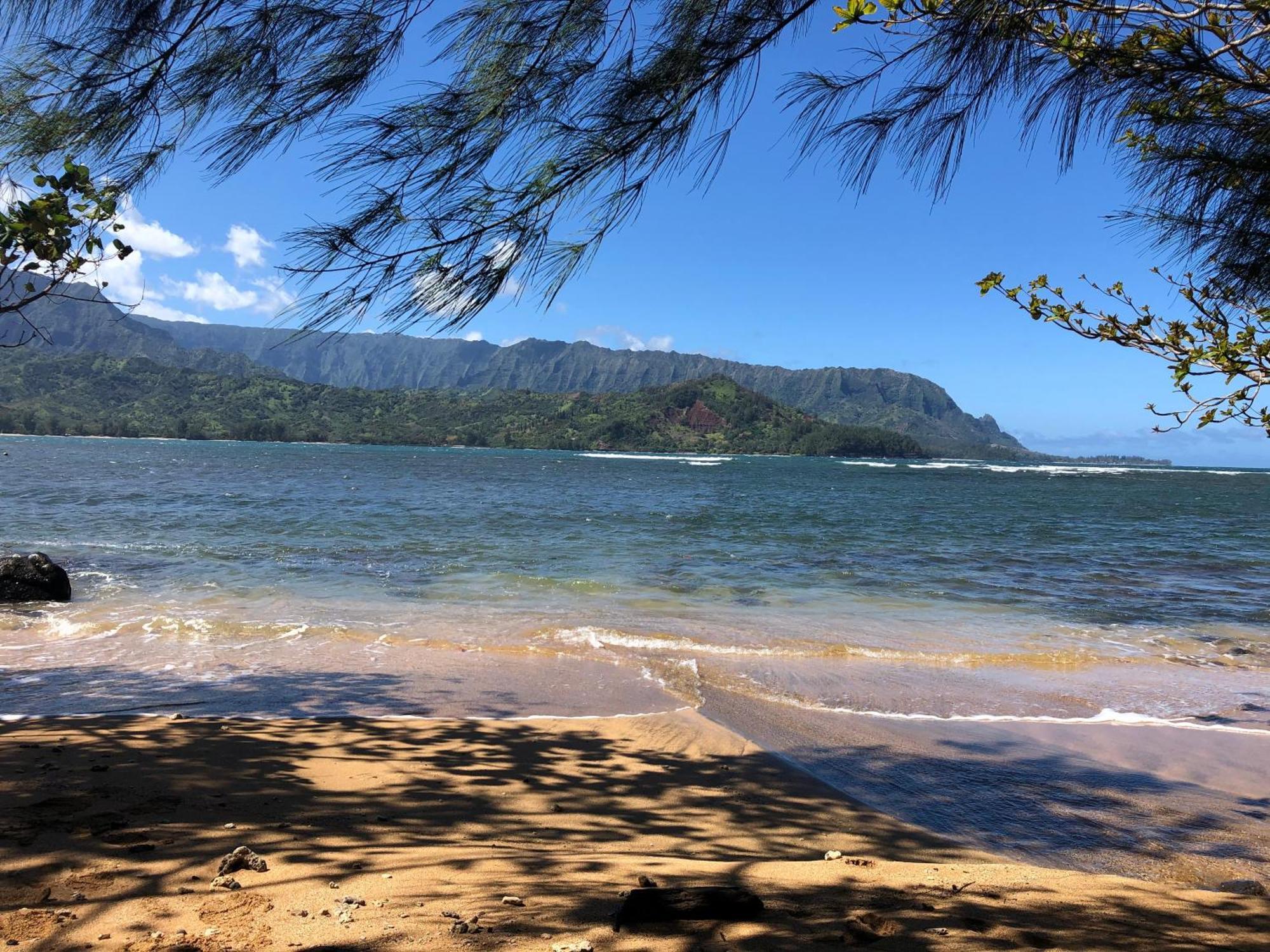 Of Kamalii 37