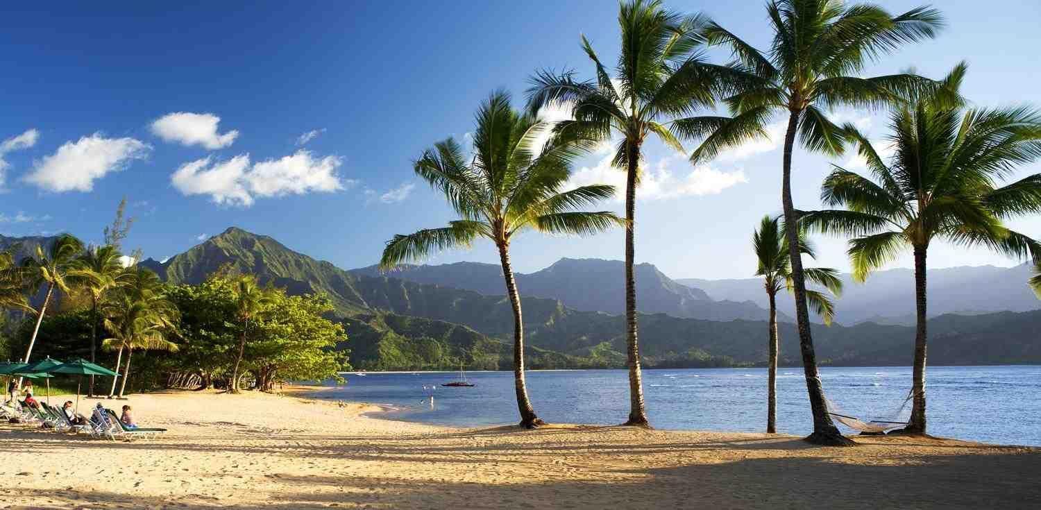 Apartment Of Kamalii 37