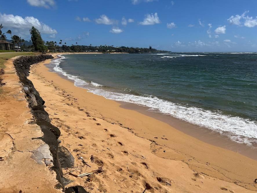 Pono Kai #a101 - A Welcoming 2 Bdrm - 2 Bath, Private Beachfront Vacation Apartamento
