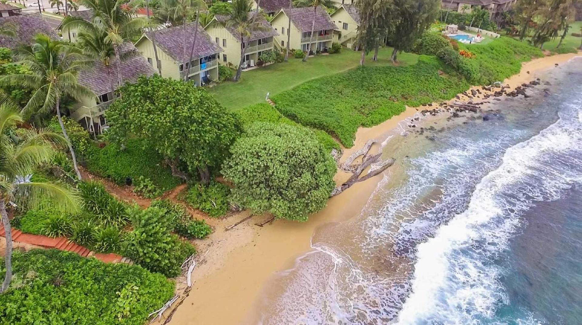 Kapaa Sands 10 Kapa'a
