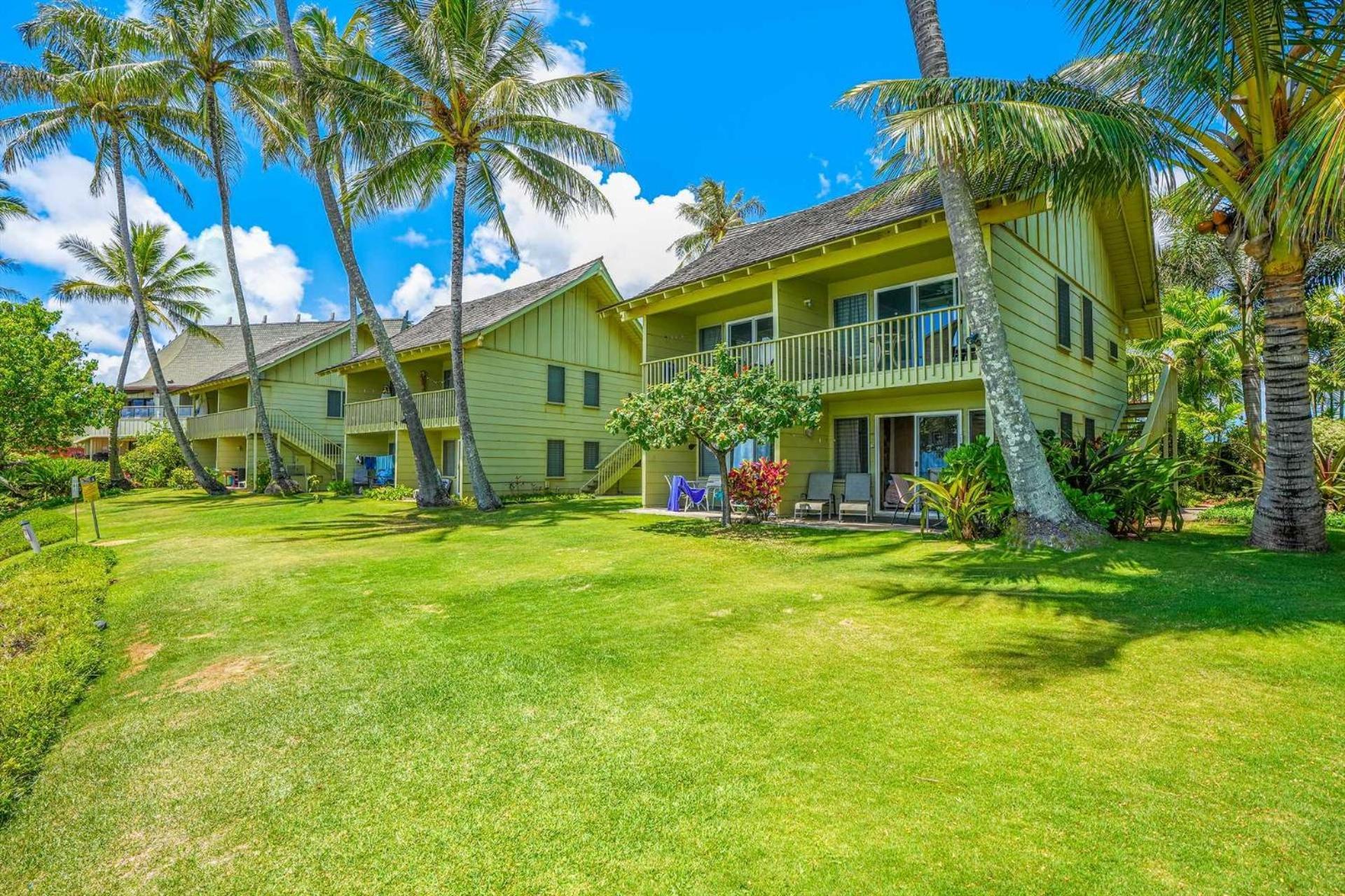 Kapaa Sands 10