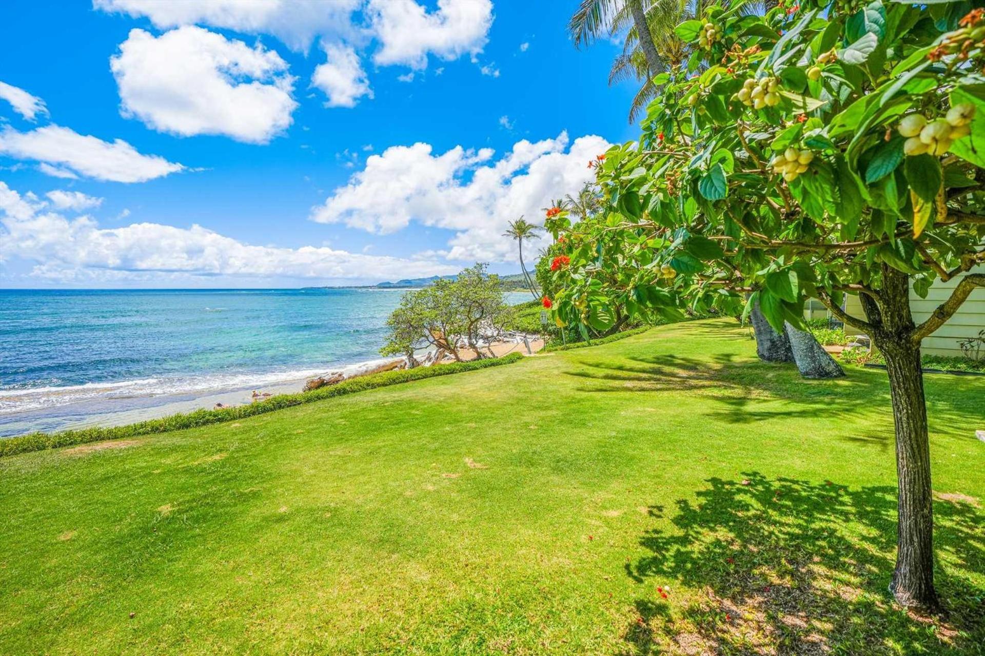 Apartment Kapaa Sands 10