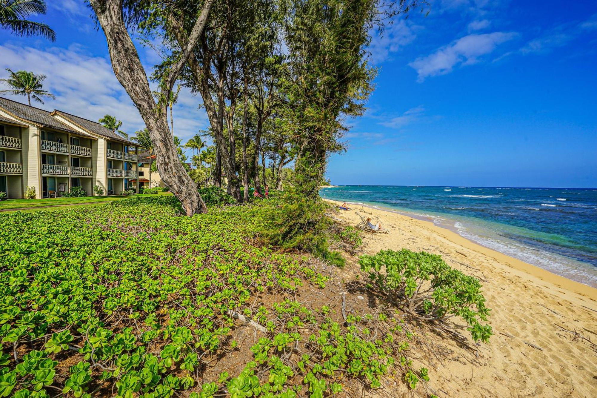 Hotel Islander On The 101 Kapa'a
