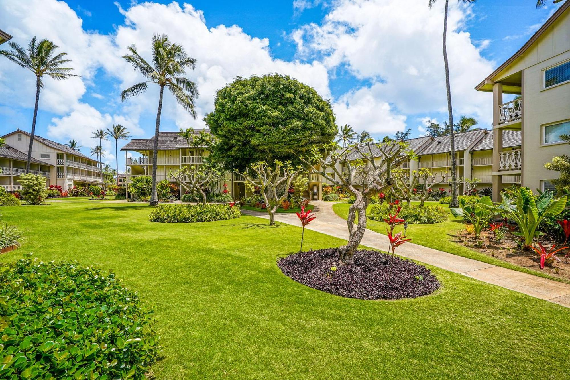 Hotel Islander On The 315 Kapa'a