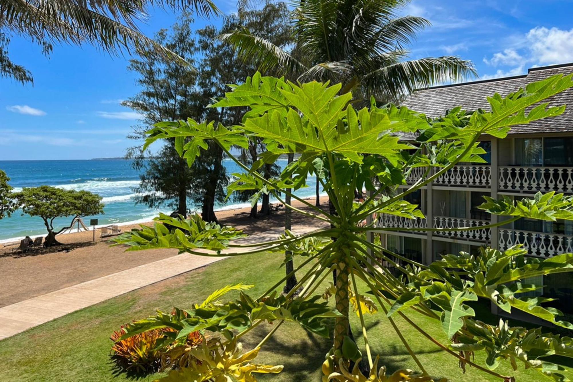 Hotel Islander On The 164 Kapa'a