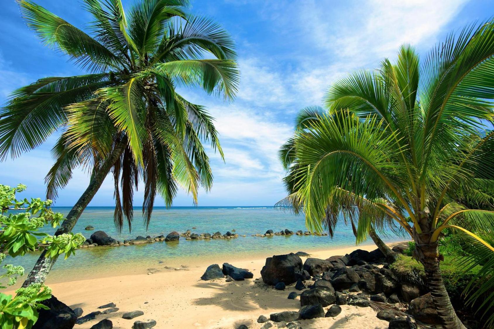 Paniolo 204b Princeville
