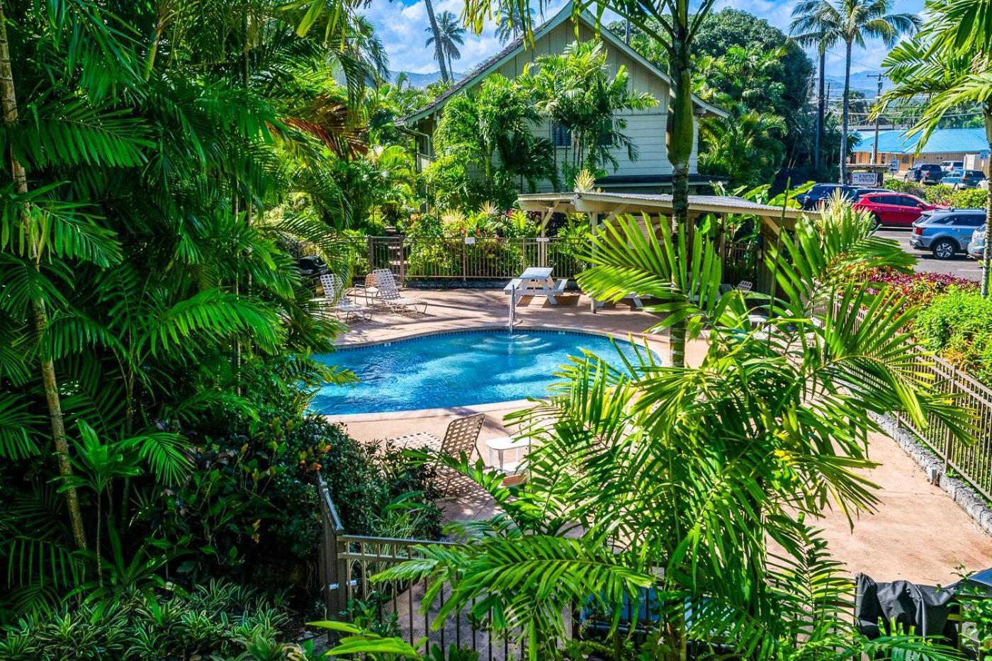 Kapaa Sands 17