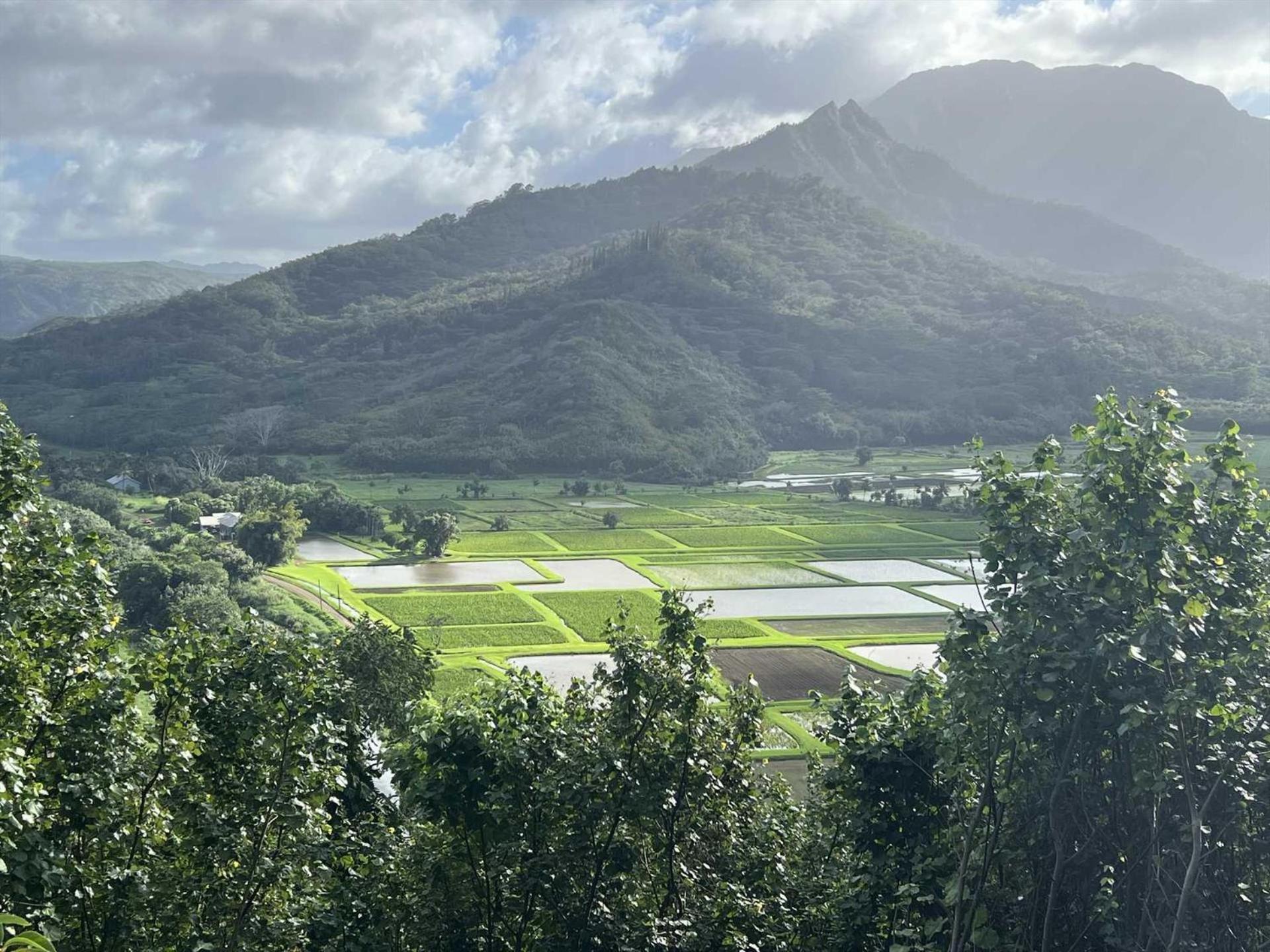 Kapaa Sands 10 *