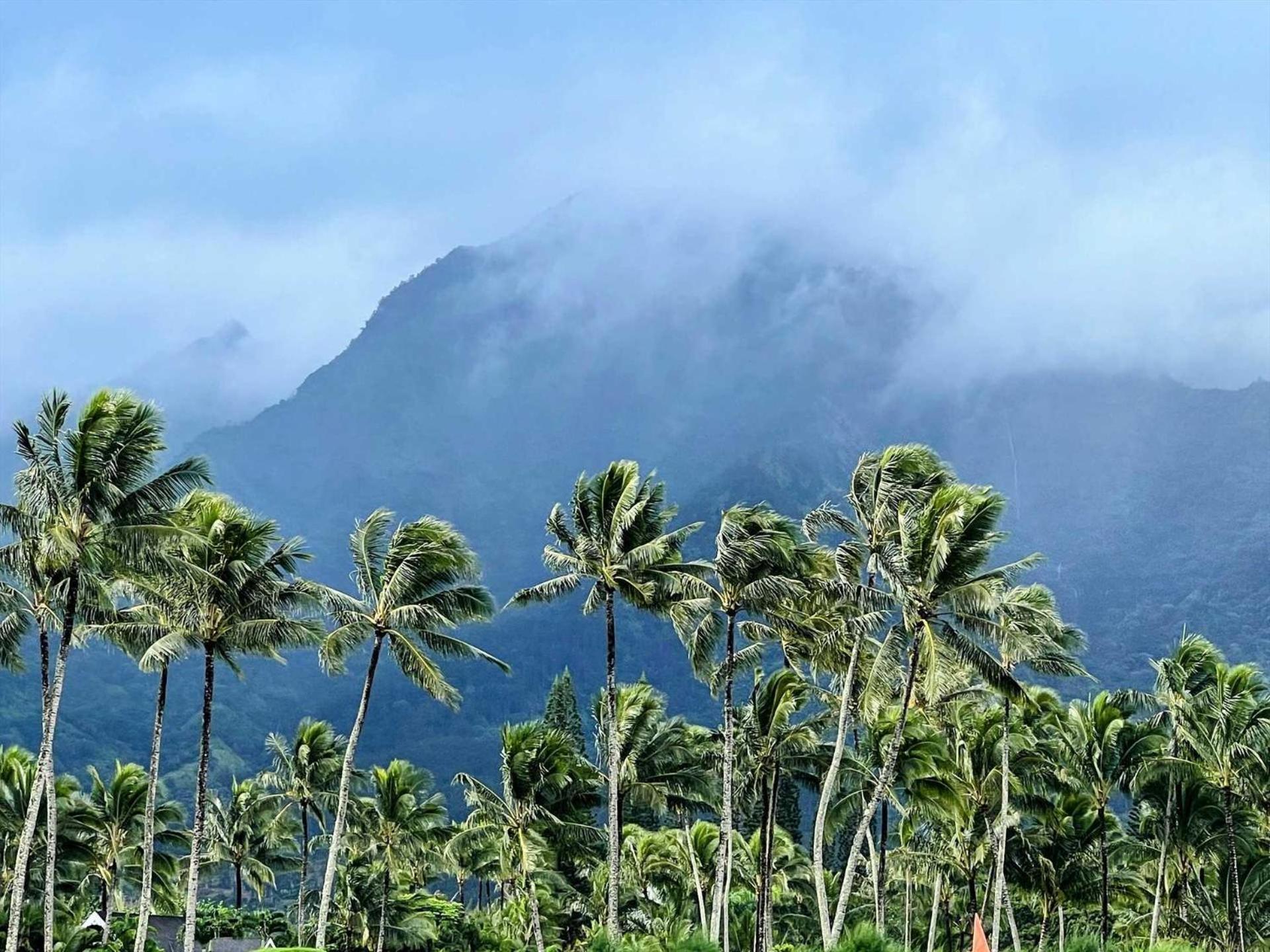 Kauai E16 Casa de férias