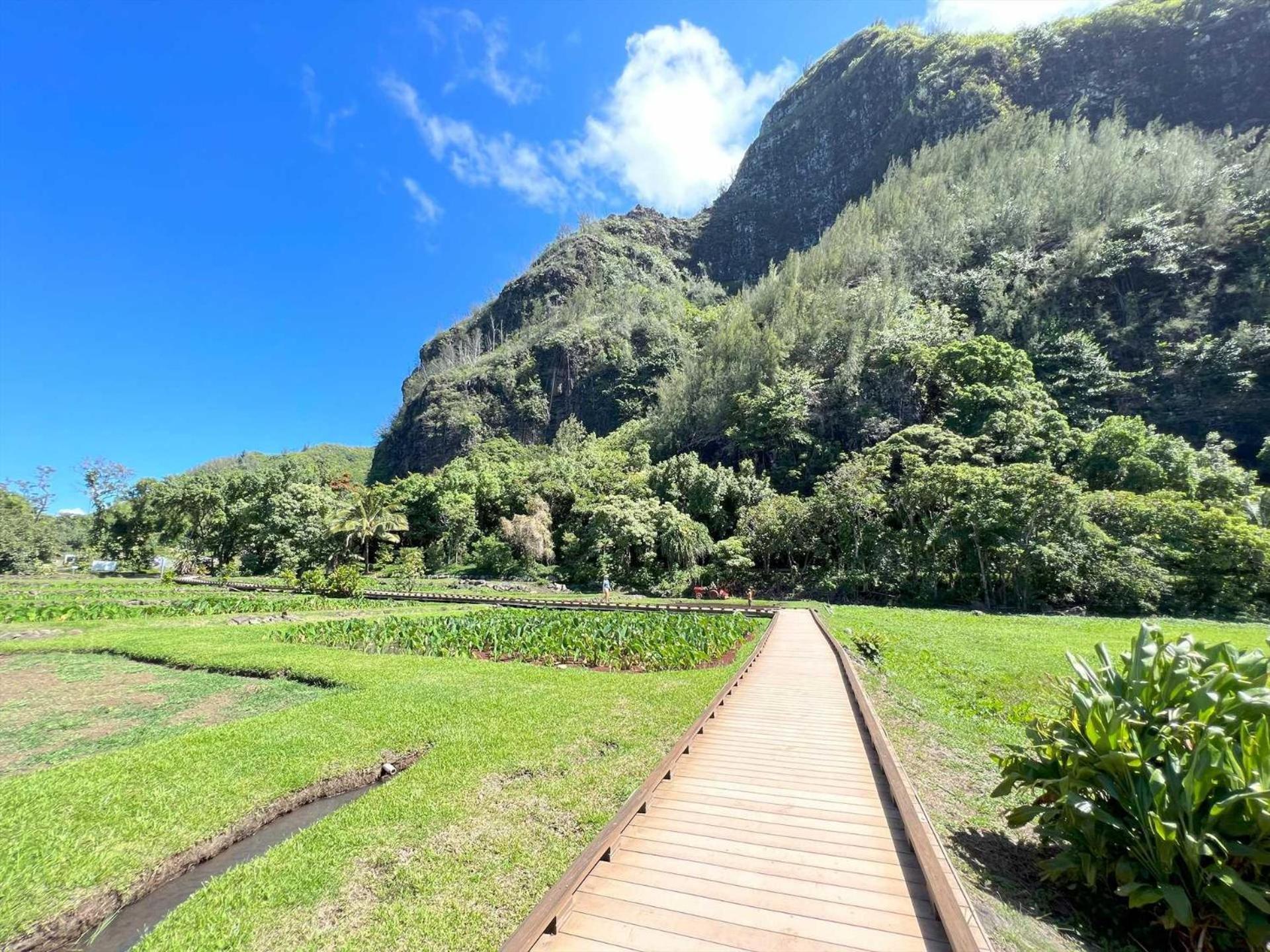 Kauai E16 Casa de férias Lihue