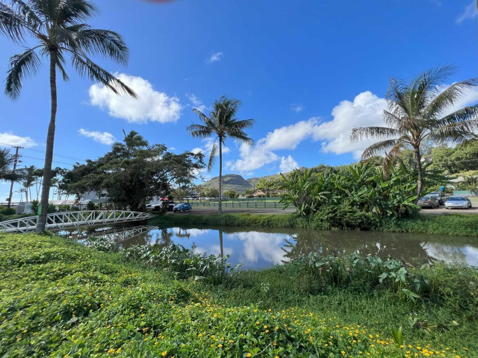 Kauai E16 Lihue