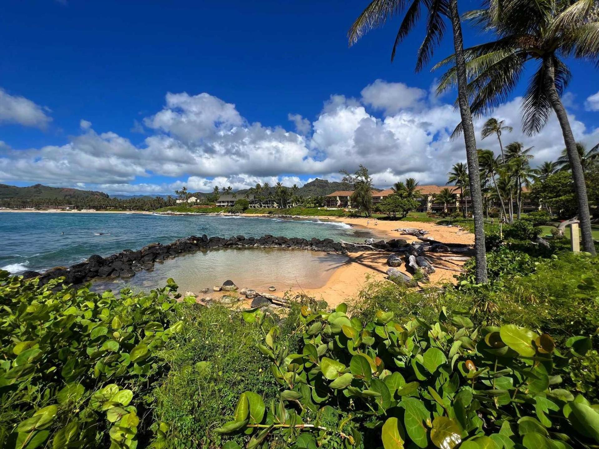 Kapaa Sands 10 Kapa'a