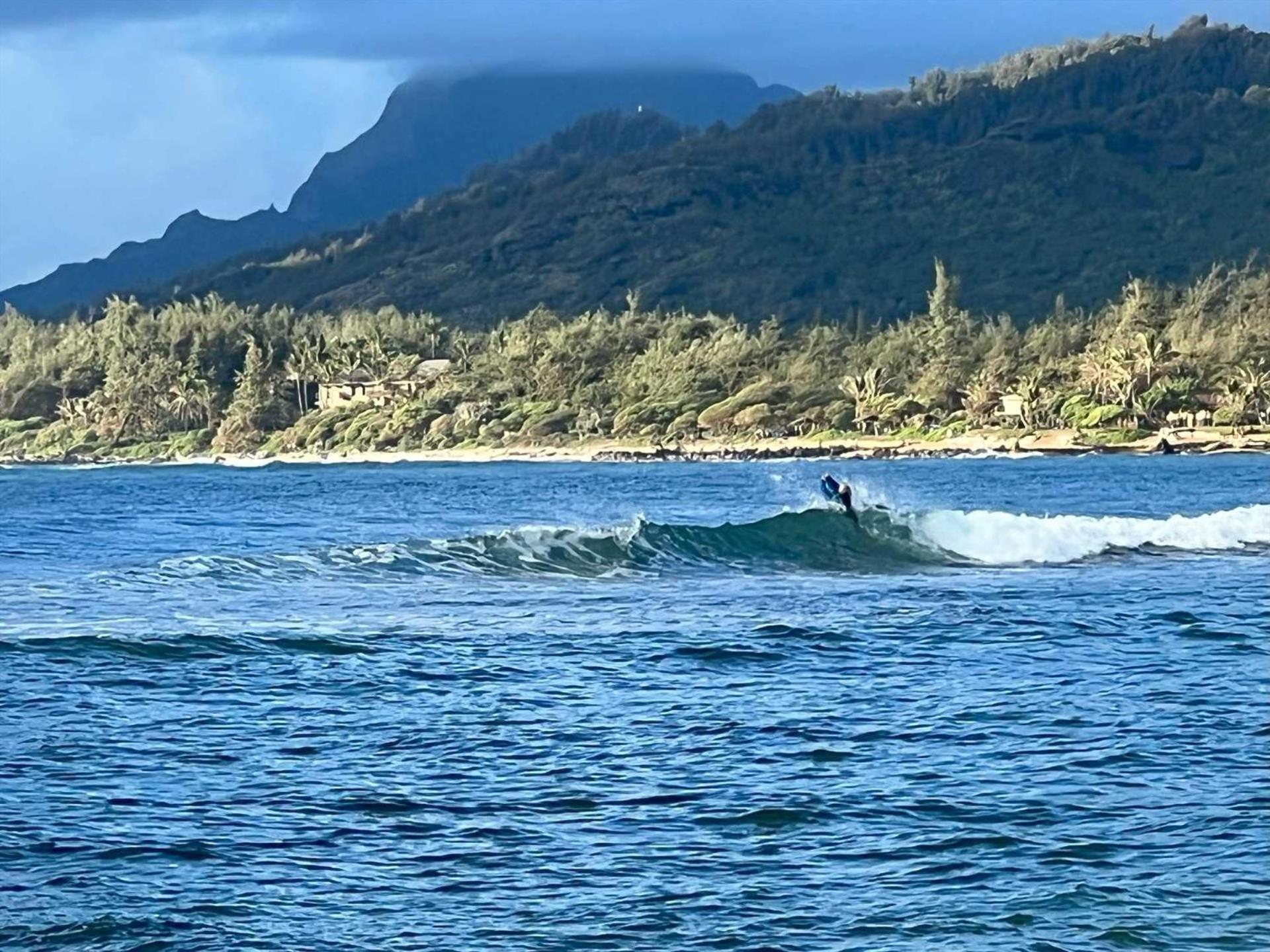 Islander On The 160 Apartment