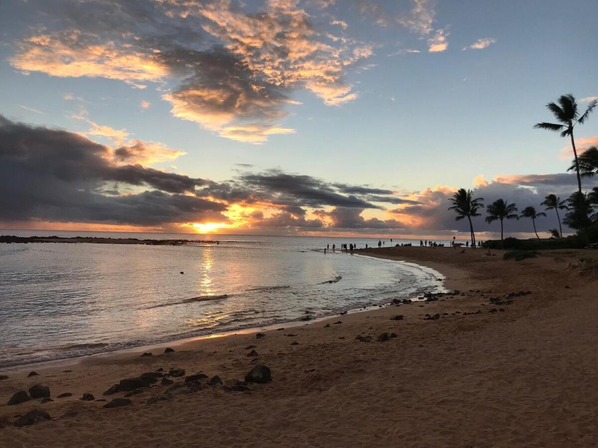 Ocean View, Beautiful Sunrise, Private Pool, Walk To Beaches