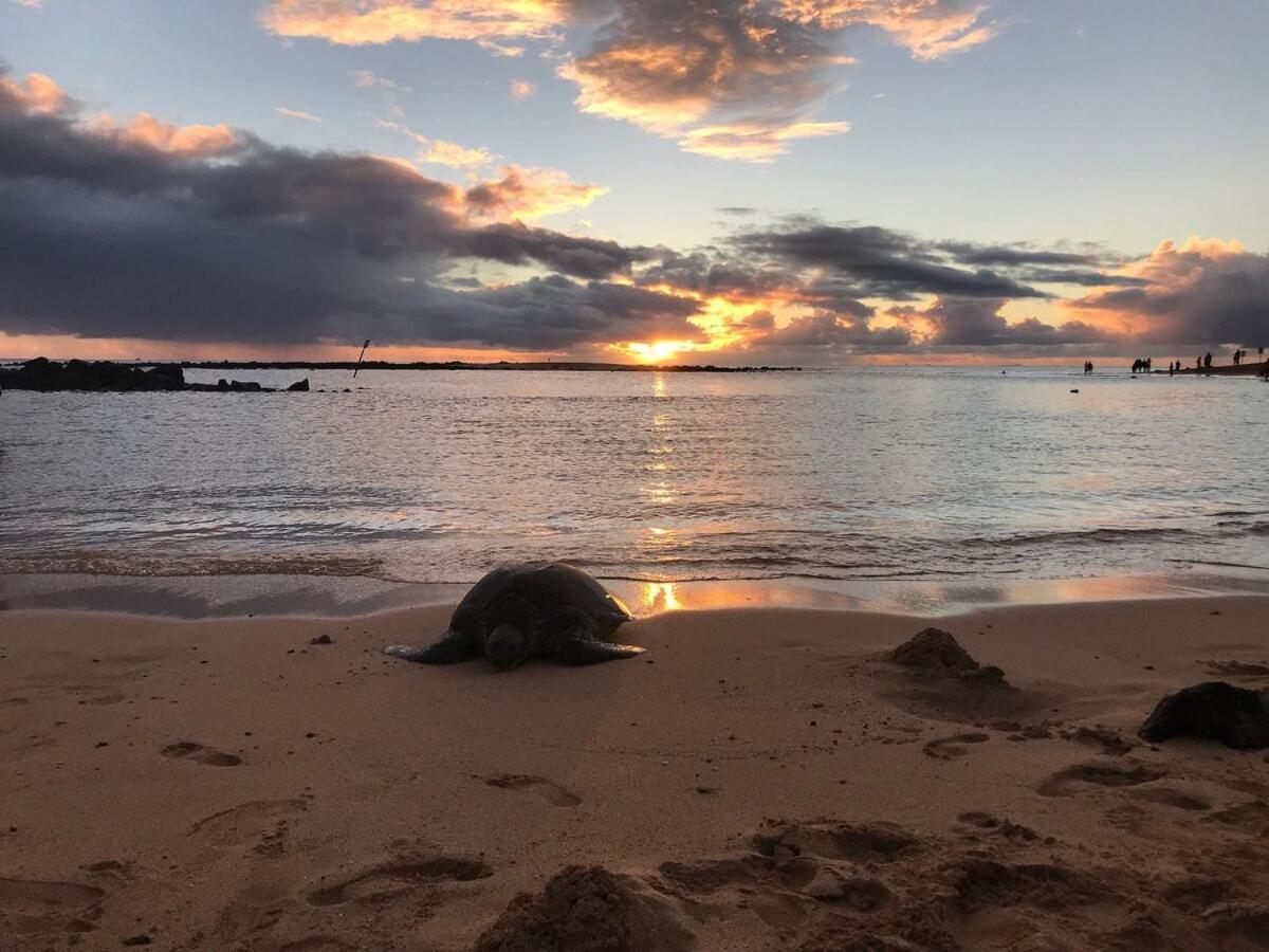 Holiday home Ocean View, Beautiful Sunrise, Private Pool, Walk To Beaches
