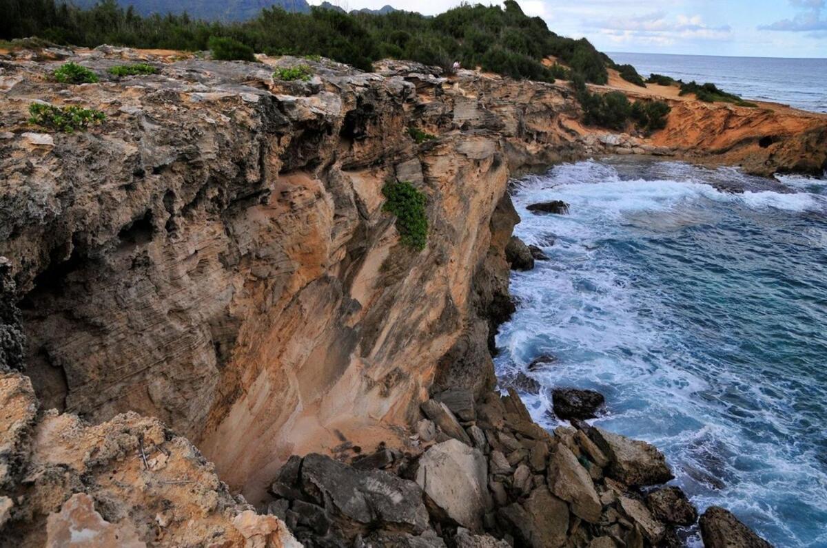 Ocean View, Beautiful Sunrise, Private Pool, Walk To Beaches Holiday home
