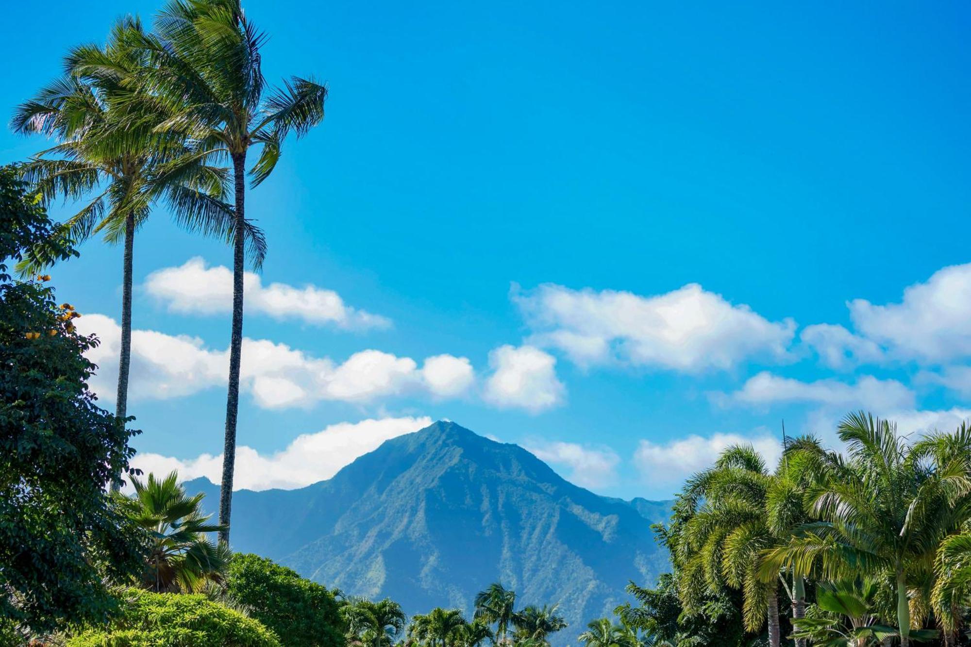 Nihilani 25c Princeville