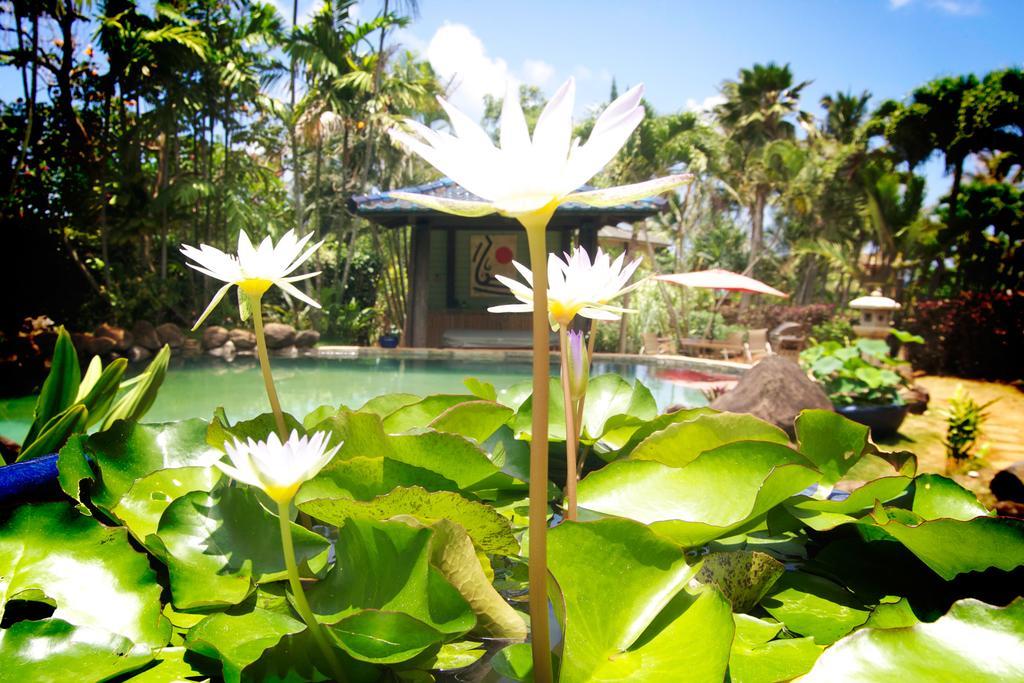 Guest house Mahina Kai Ocean
