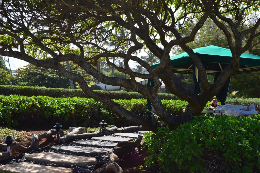 2417 At Oceanfront Kauai Drive Private 4* Lihue