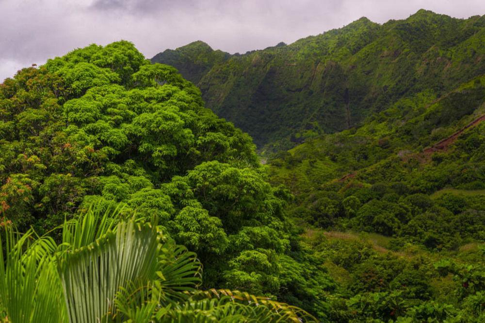 Hale Ho'o Maha 3* Hanalei