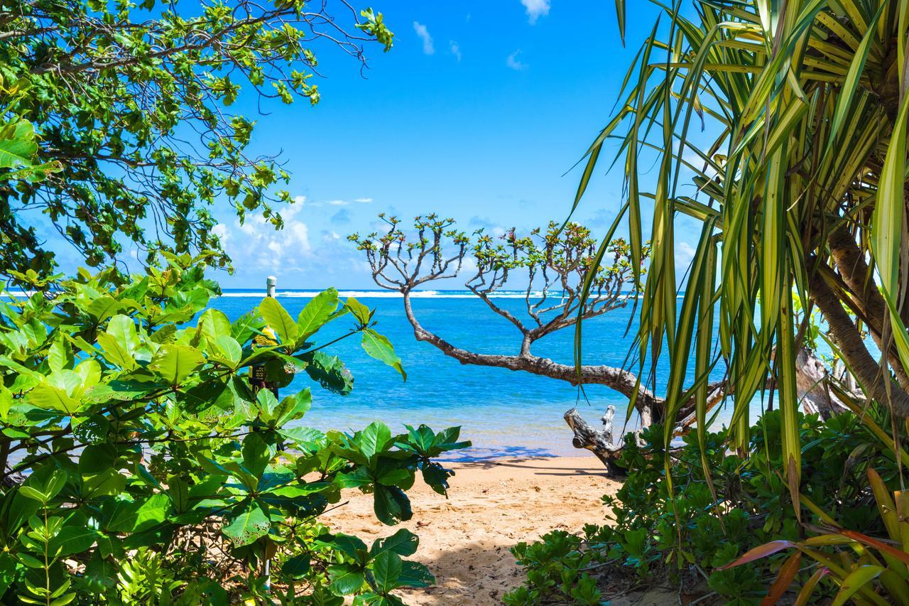 Anini Ohana Hale Tvnc#4255 Holiday home Kilauea