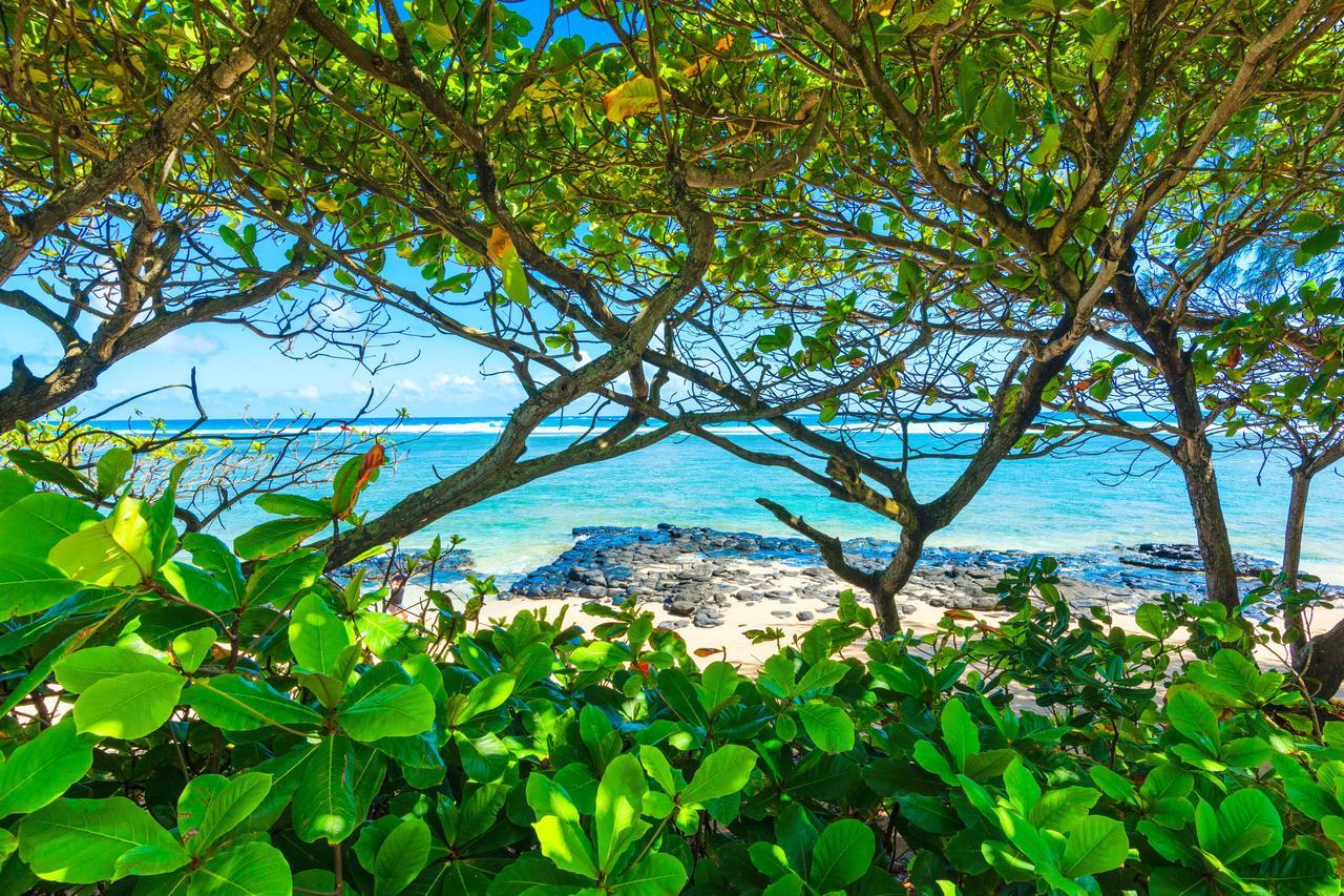 Anini Ohana Estate Tvnc#4255 Holiday home Kilauea
