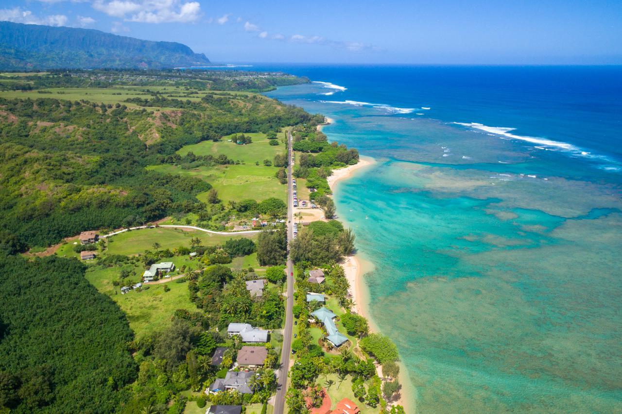 Anini Ohana Estate Tvnc#4255 Kilauea