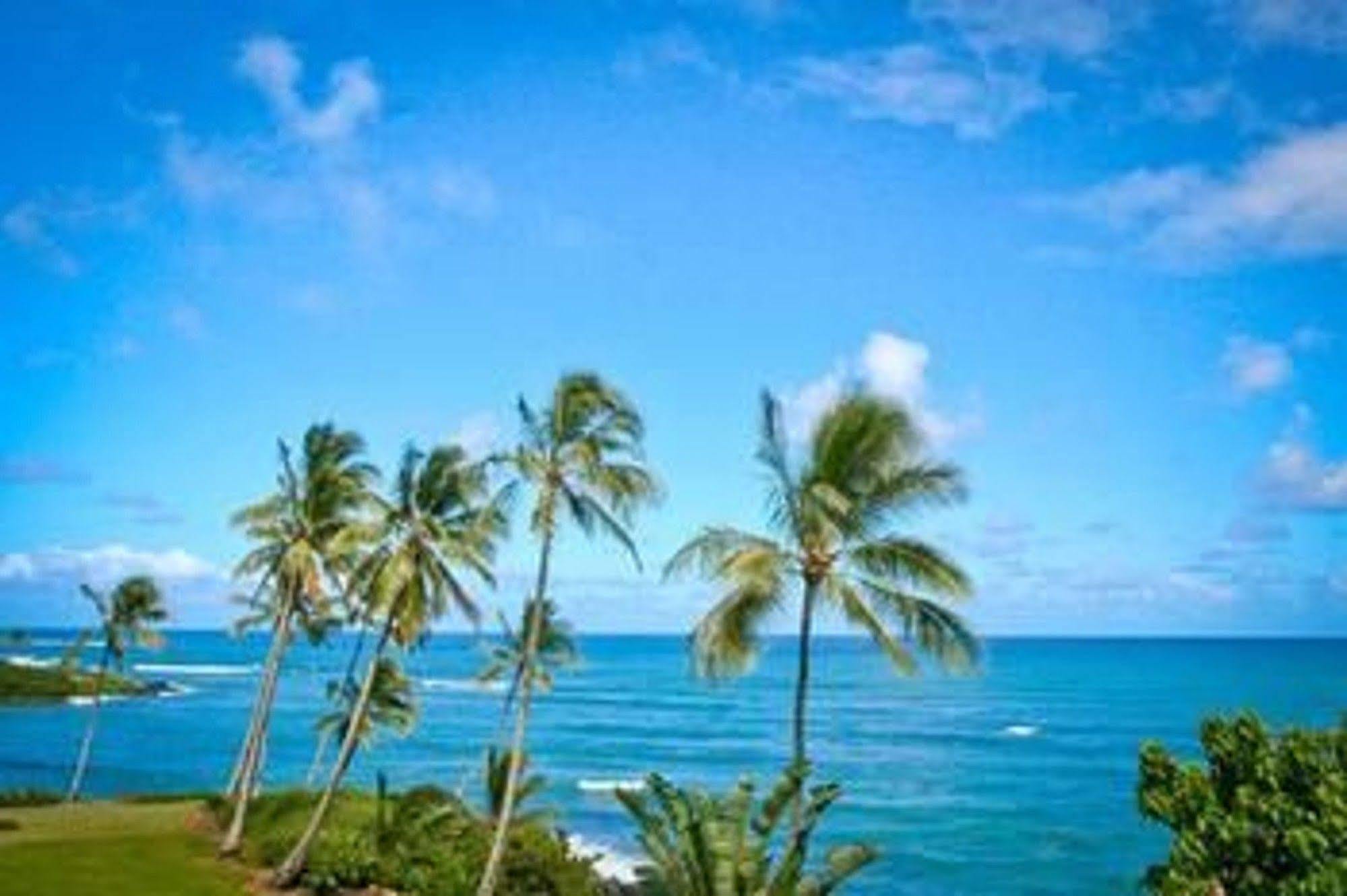 Wailua Bay View *
