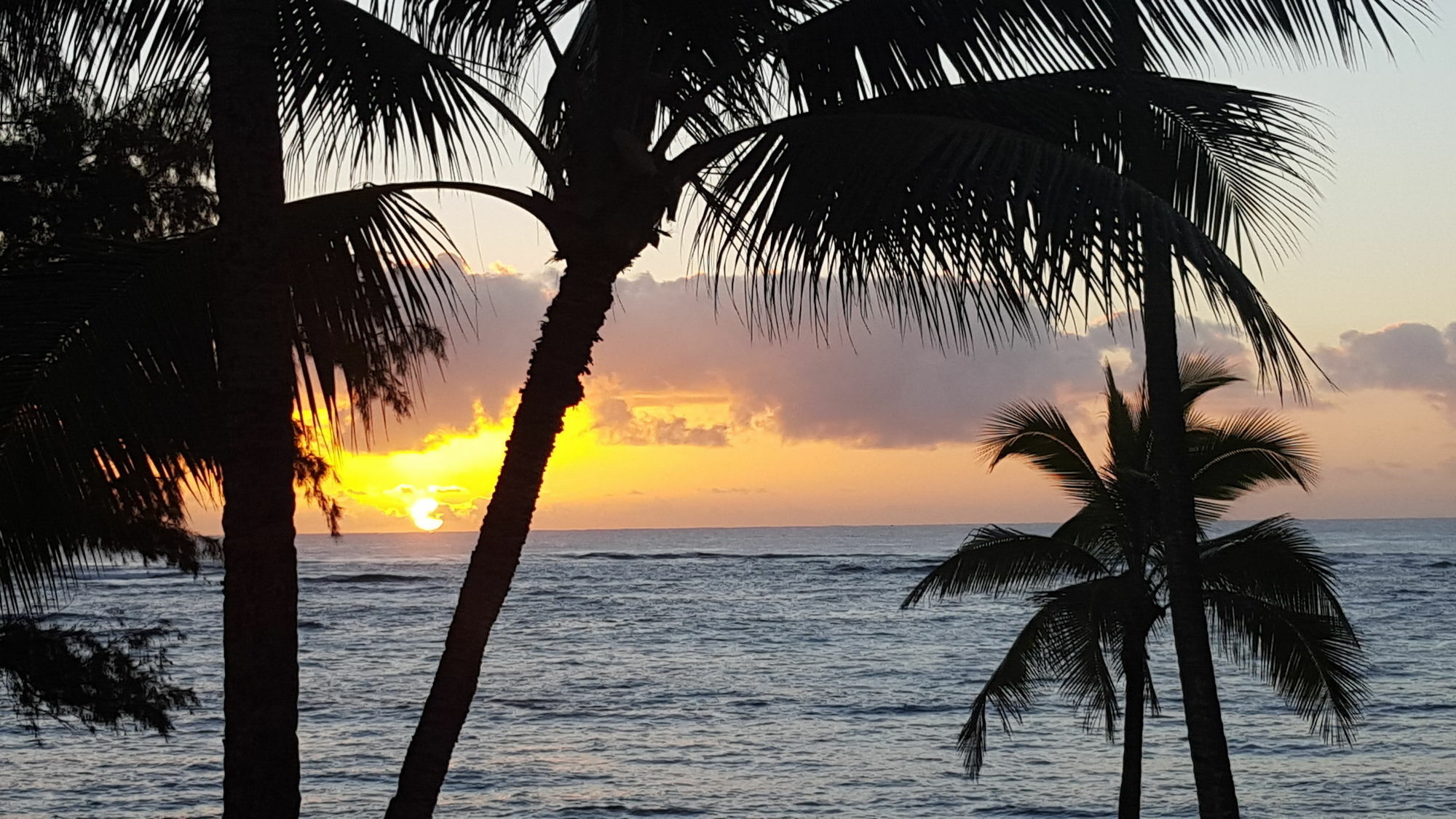 Hotel Coral Reef Kapa'a