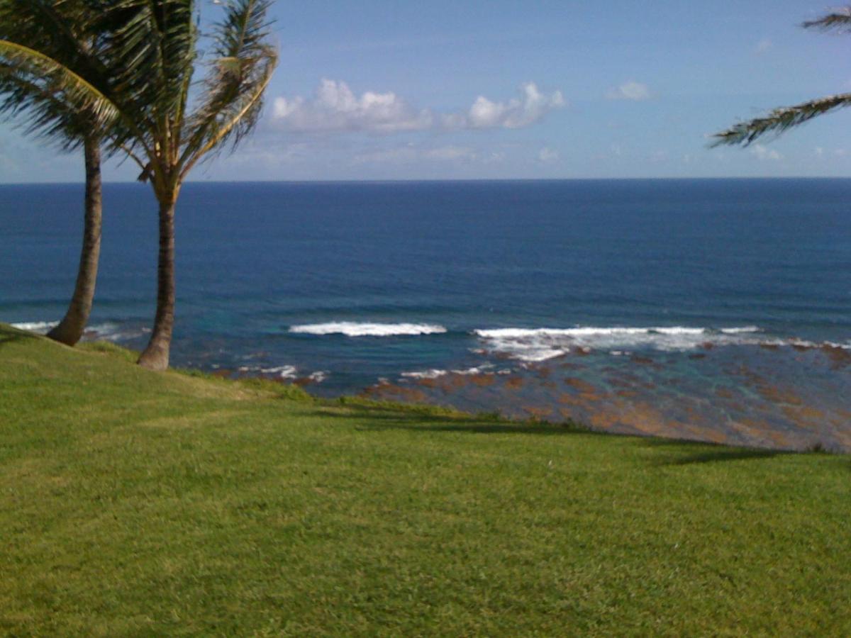 Sealodge Unit D-4 Princeville