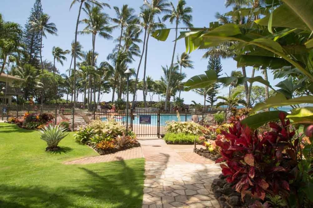 Apartment Lae Nani 333, Oceanview, Renovated And Gated