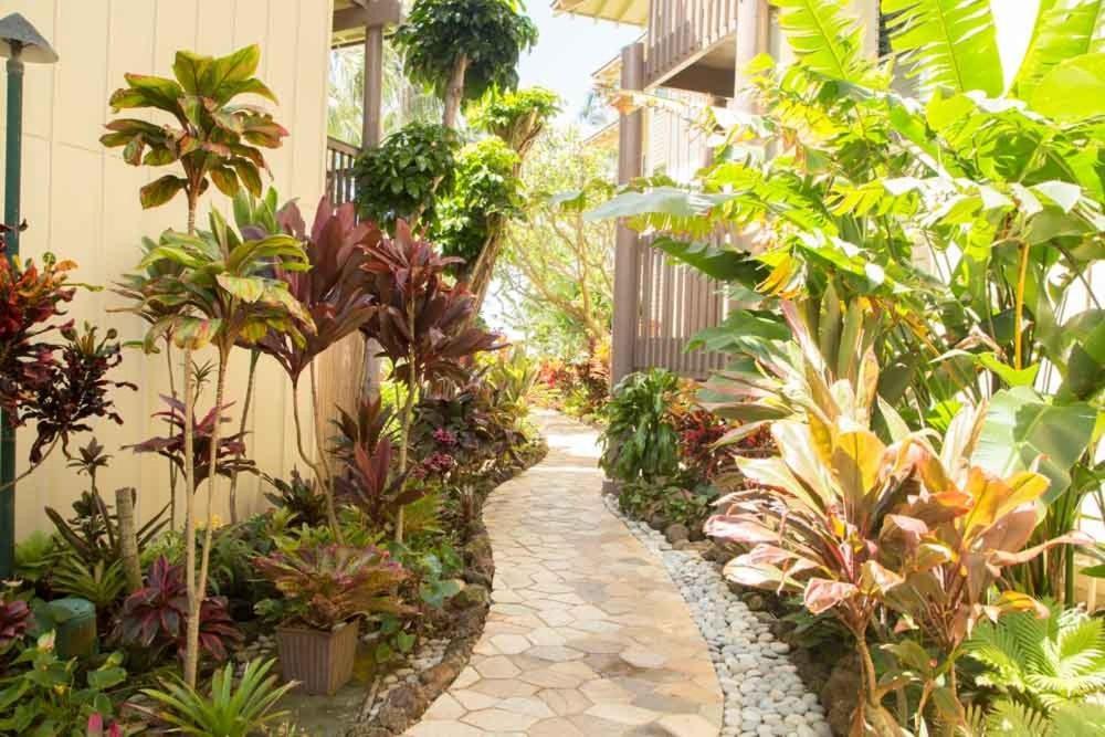 Lae Nani 333, Oceanview, Renovated And Gated Apartment Kapa'a