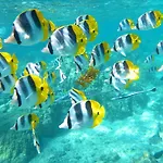 Waipouli Beach Resort H207