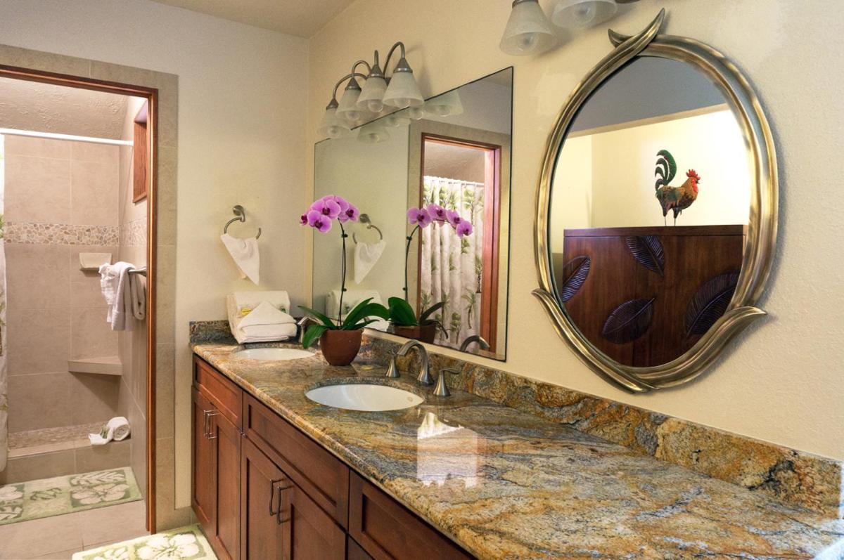 Ocean Pool Hale 3br 2ba Cozy With Pool, Hot Tub And Ocean Views * Princeville