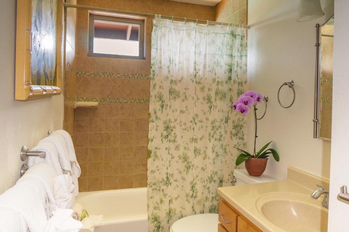 Ocean Pool Hale 3br 2ba Cozy With Pool, Hot Tub And Ocean Views Princeville