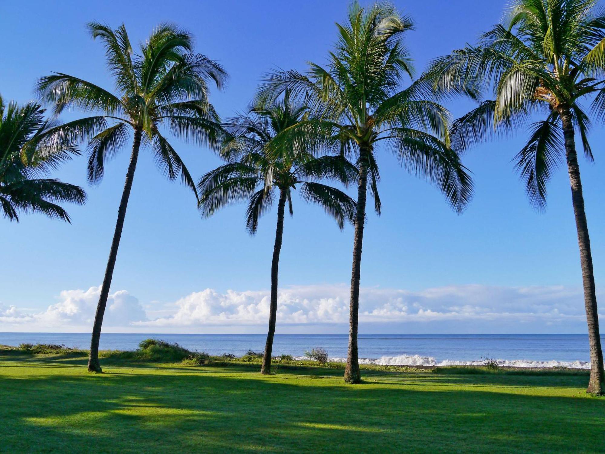 Plantation Cottages, A Coast Lodge *