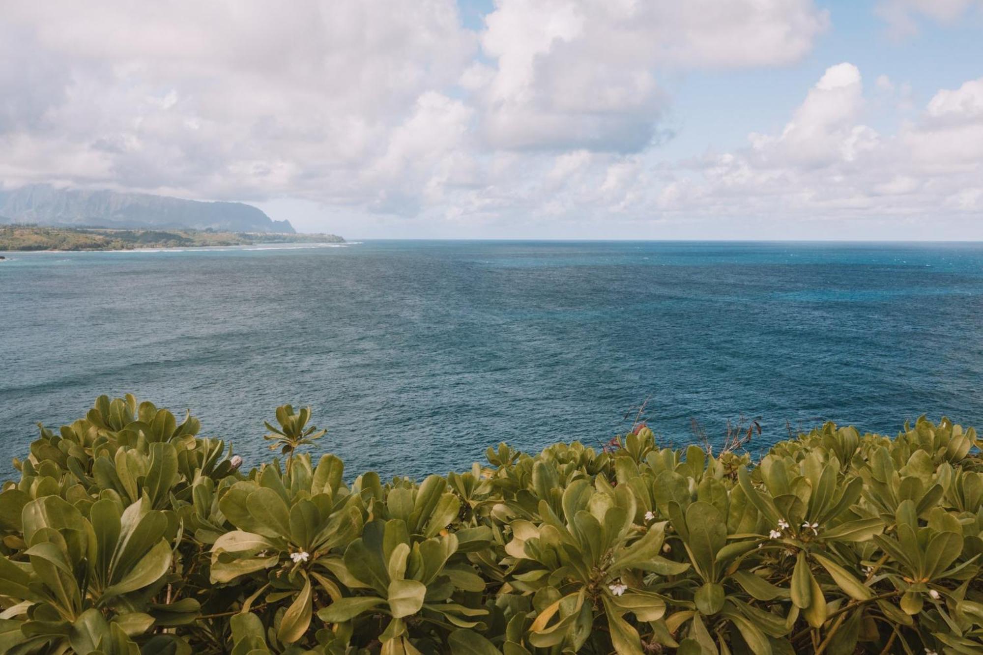 Plantation Hale Kapa'a