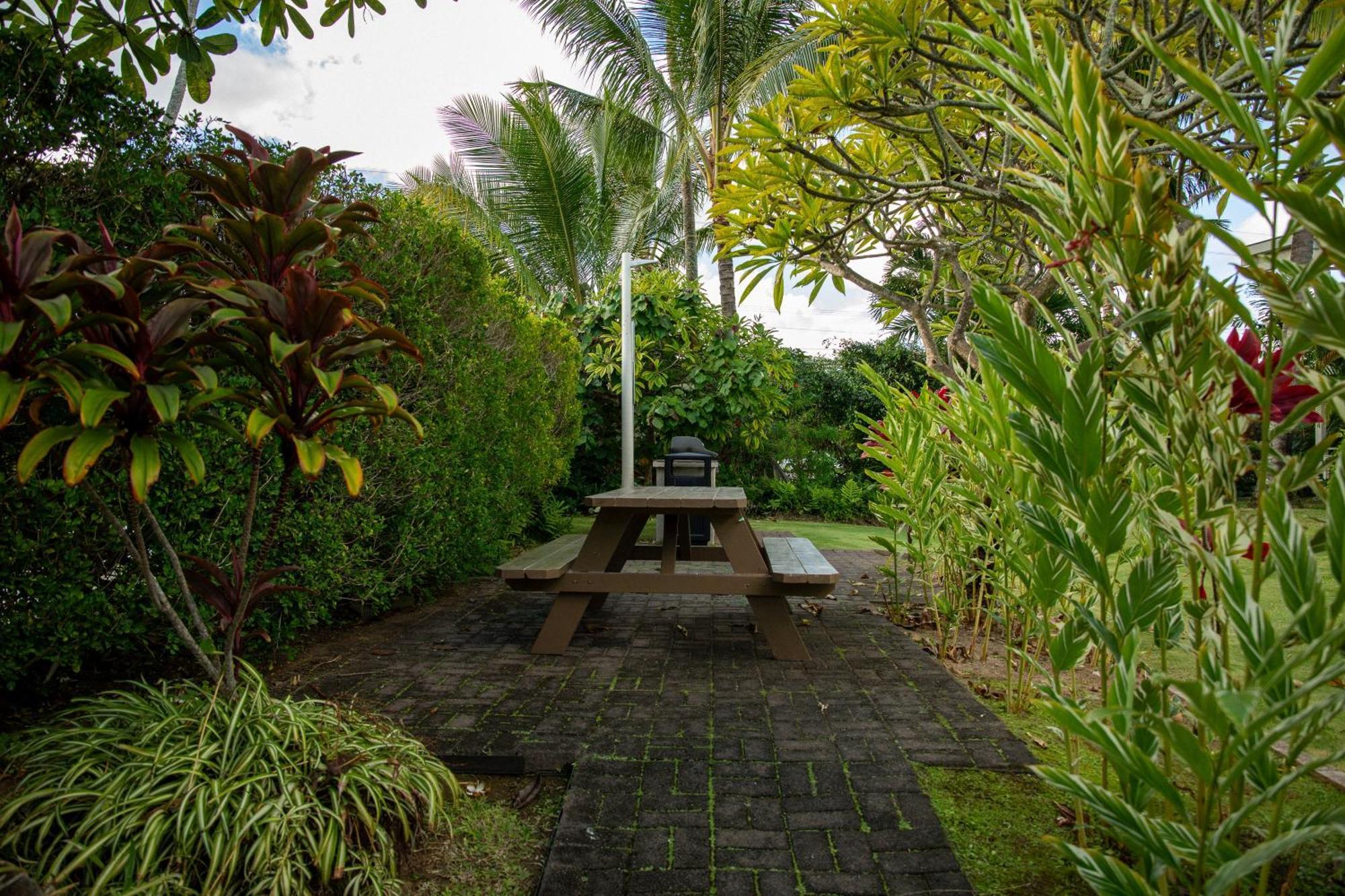 Plantation Hale 3*