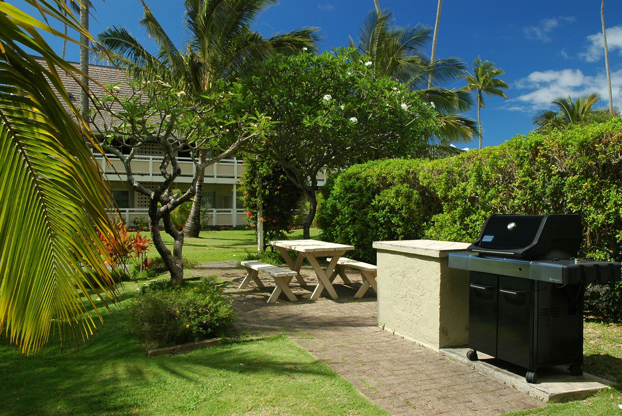 Plantation Hale 3*